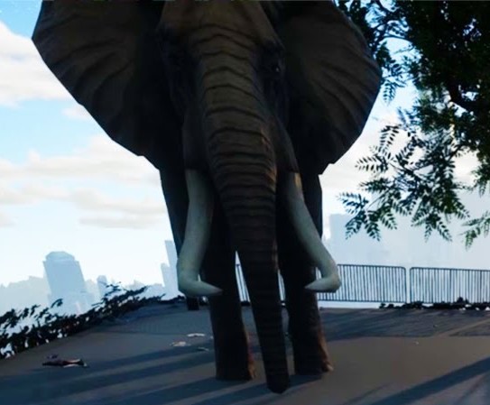 crazyyts's tweet photo. Cool elephant has big ears like dumbo (good thing) and i love it sooooooooo much!!! https://t.co/4h3cHBjuIT