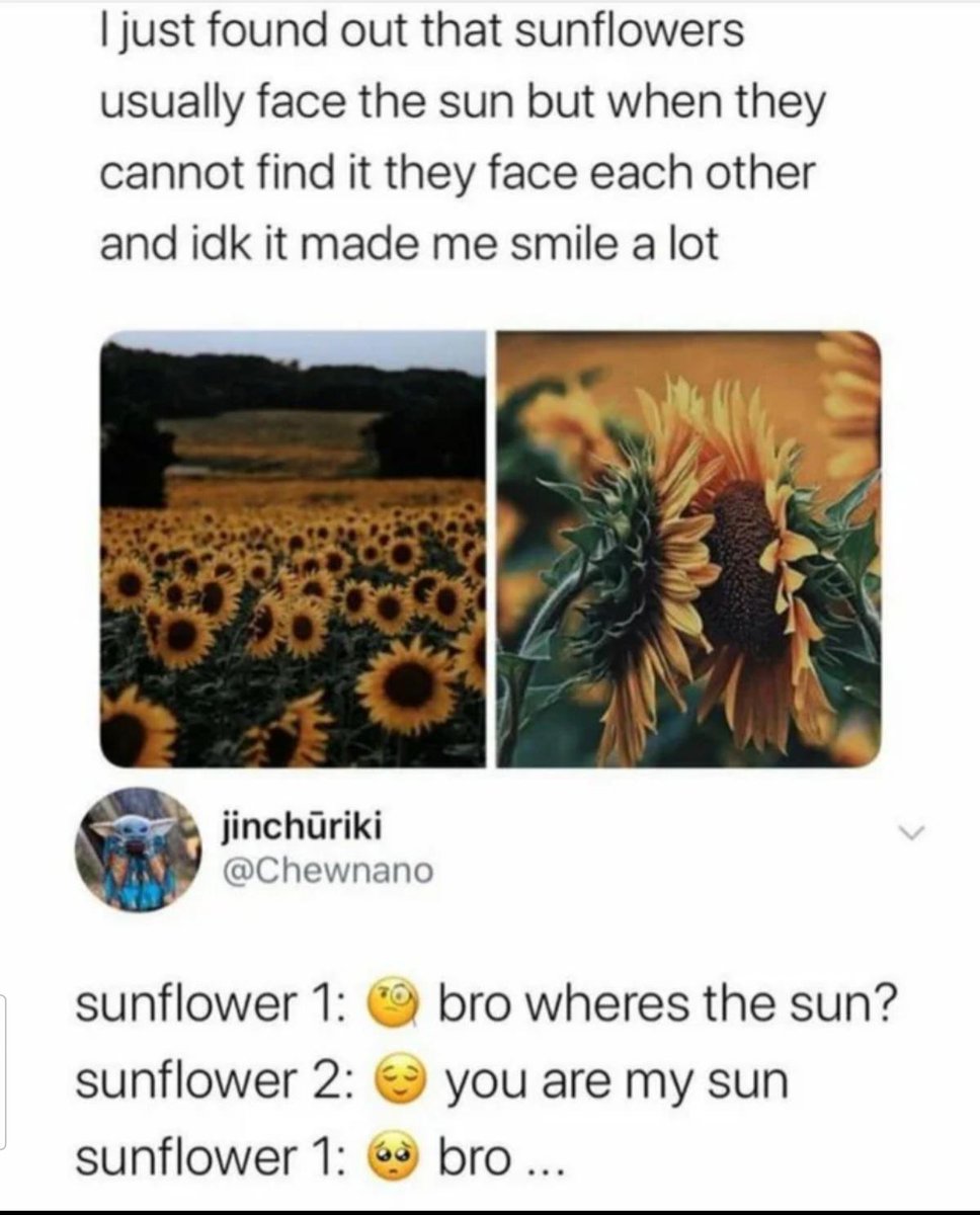 WholesomeMemes tweet media