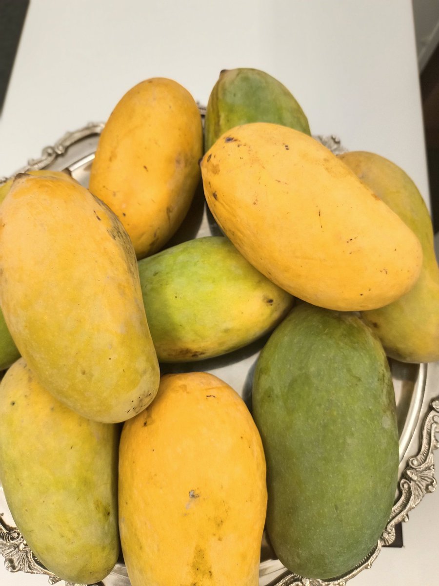 GermanyinPAK's tweet image. It&apos;s #mango time!!! 🥭
We love mangoes from 🇵🇰 for their unparalleled aroma, taste &amp;amp; juiciness. Savoring this summer fruit is pure bliss 😊 What&apos;s your favorite?
#PakistaniMangoes