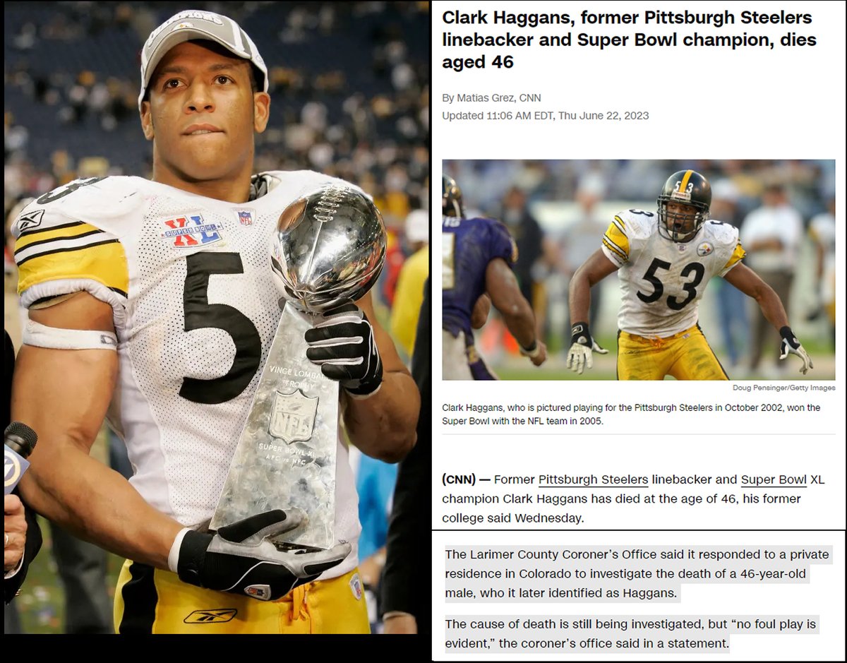 46 year old former Pittsburgh Steelers linebacker and Super Bowl XL champion Clark Haggans died suddenly on June 19, 2023

He was found dead AT HOME. 

Another suspicious death of a young athlete.

Folks, this isn't going to stop anytime soon.

#DiedSuddenly #cdnpoli #ableg