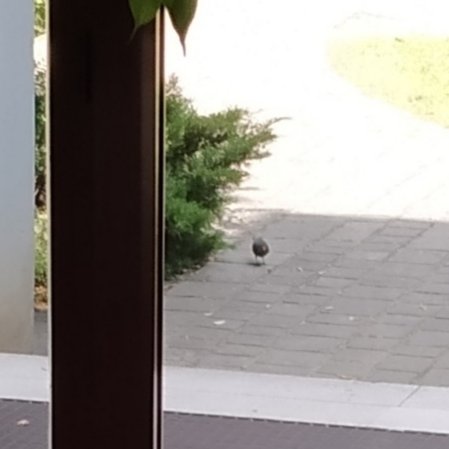 Secchicandi2's tweet image. Quando Lui ti aspetta già dall'androne di casa...😅💞
#merlino