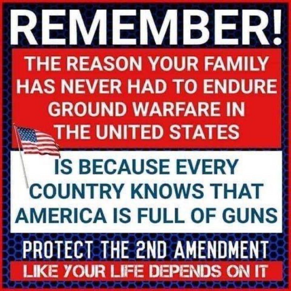 Gitmo99's tweet photo. Remember !!!

The reason your family has never had to endure ground warfare in the United States  is because every country knows America is full of guns .

Protect the 2nd amendment at all costs. 
Do you believe you have a right to bear arms ? https://t.co/flZkC2kGc1