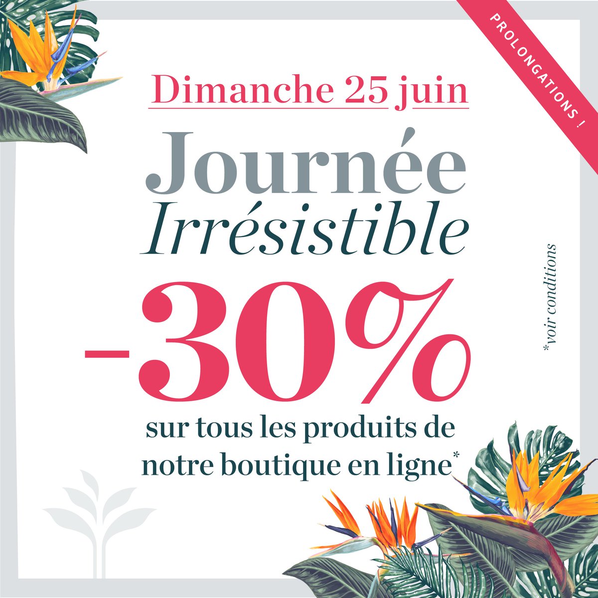 GardenCentreSc1's tweet photo. LA JOURNÉE IRRÉSISTIBLE EST PROLONGÉE SUR NOTRE BOUTIQUE EN LIGNE! 😎 Profitez encore de -30% sur tous les produits en stock, directement sur notre boutique en ligne: https://t.co/nkU89cLsxo uniquement ce dimanche 25 juin. #schilliger https://t.co/hV5s99STTB