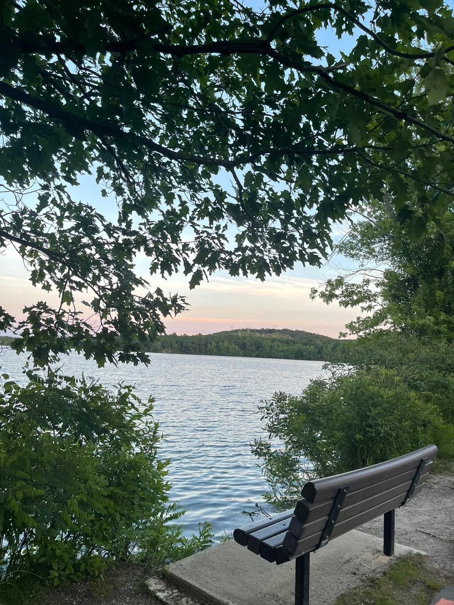 Solitude, often misunderstood and feared, holds immense beauty and potential for profound experiences. 

Society has conditioned us to associate loneliness with sadness, promoting the belief that happiness lies solely in the company of others. However, true happiness, the kind