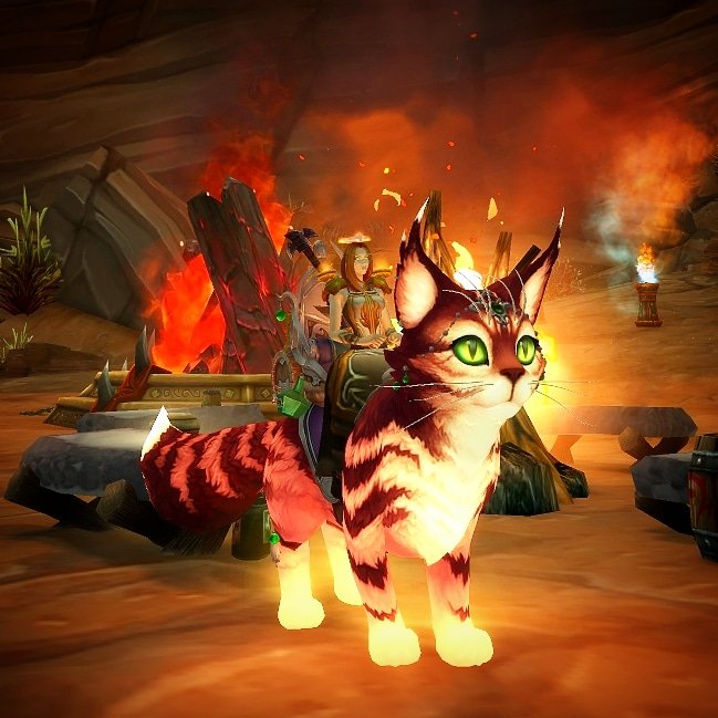 Happy Caturday from Vanorek celebrating the Midsummer Fire Festival in Orgrimmar!!! 😻🎉🔥
.
.
.
#worldofwarcraft #warcraft #wow #dragonflight #midsummerfirefestival #horde #bloodelf #paladin #game #gamer #gaming #pcgame #pcgamer #pcgaming #mmorpg #caturday