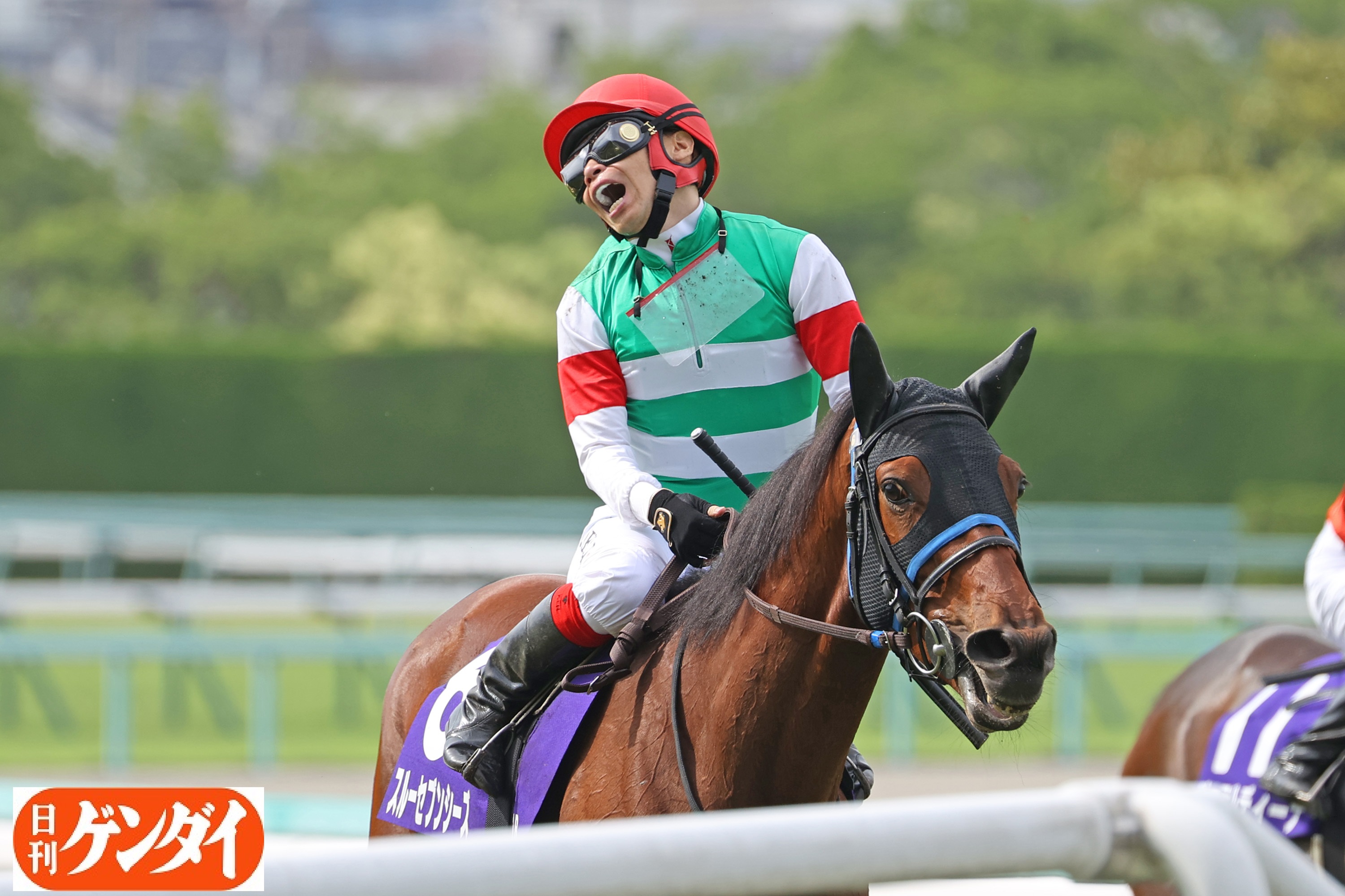 日刊ゲンダイ 競馬 on X: 日刊ゲンダイ 競馬 on X: