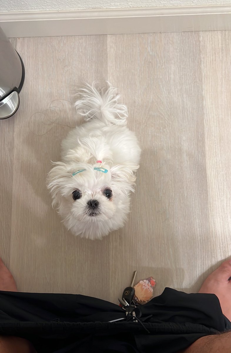 Can’t even piss in peace