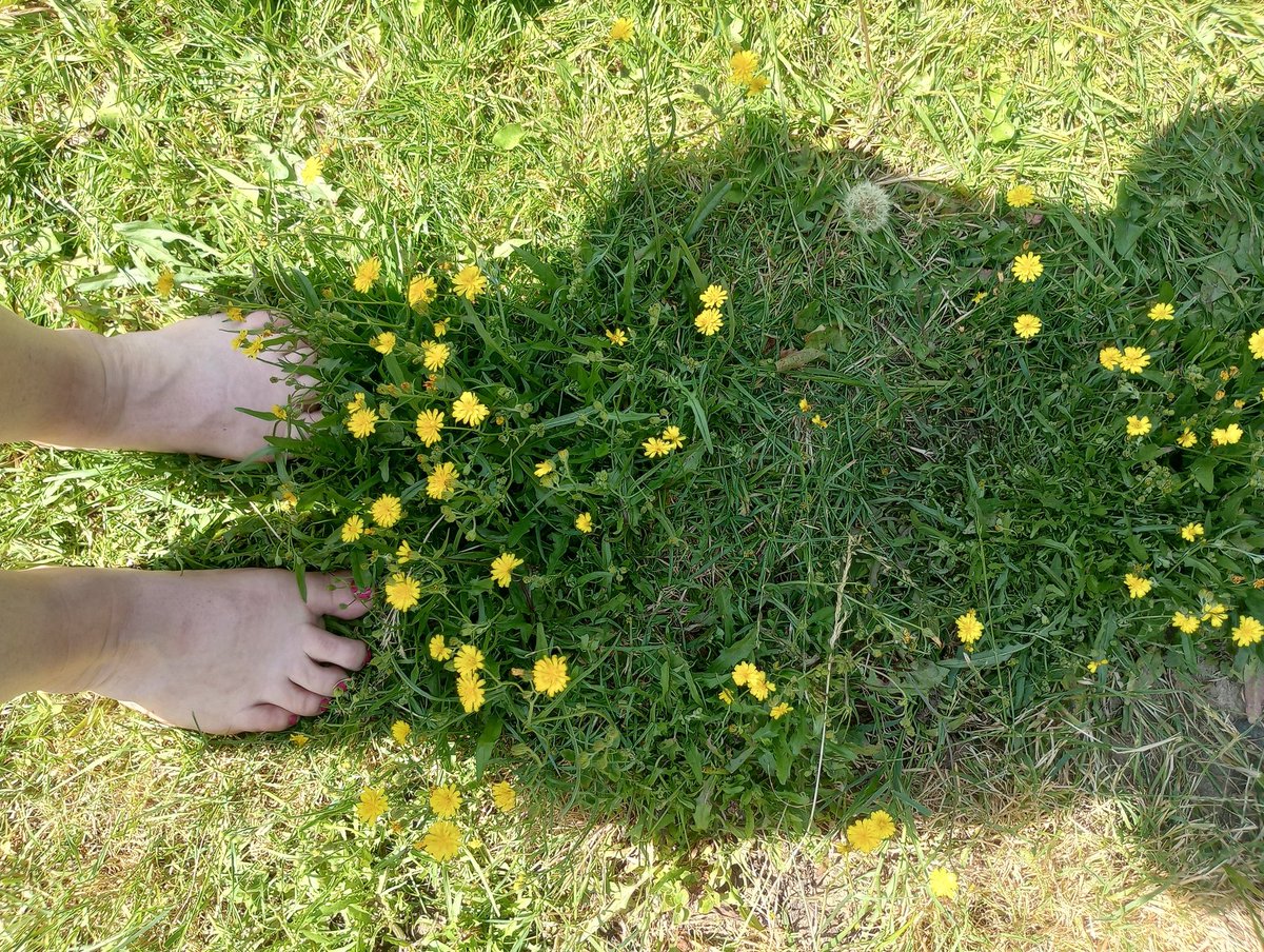 kittyheelsx's tweet photo. Summer lovin,follow my fanvue@kitkatx #fanvue #feetcontent #feetpic #toelover #solesandtoes https://t.co/WURD8cwaUT