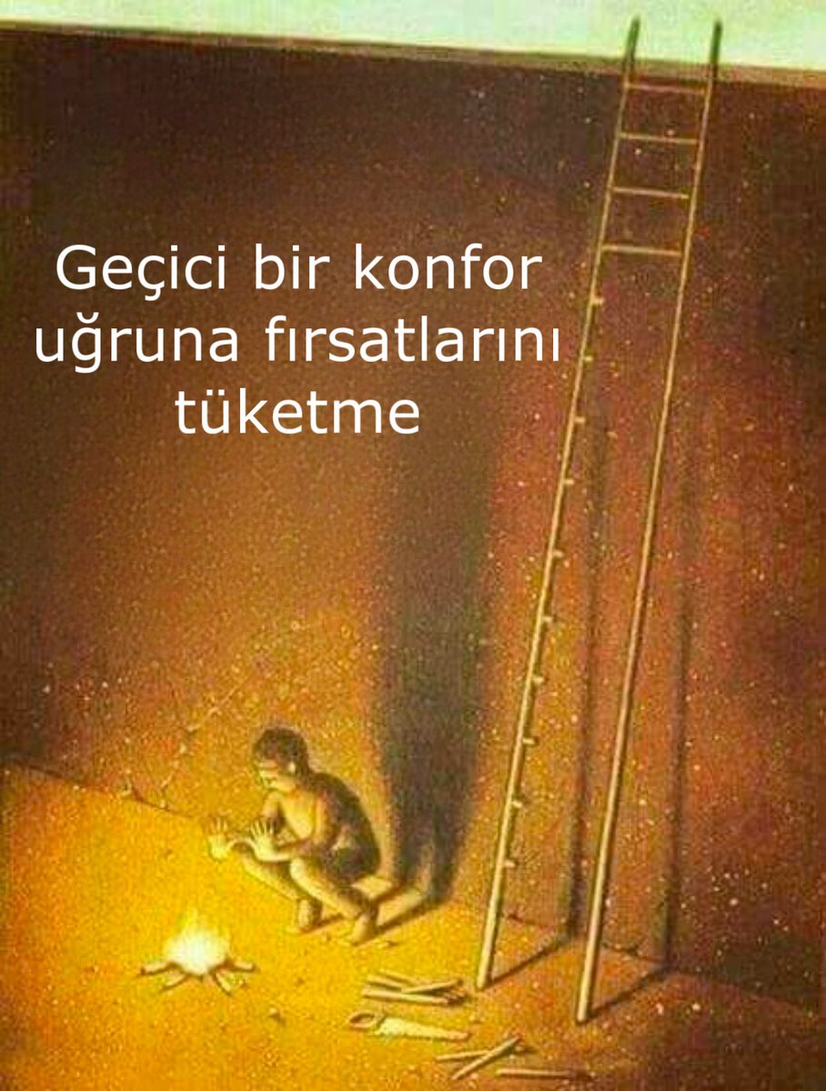 OlFitt's tweet image. 👇🏼