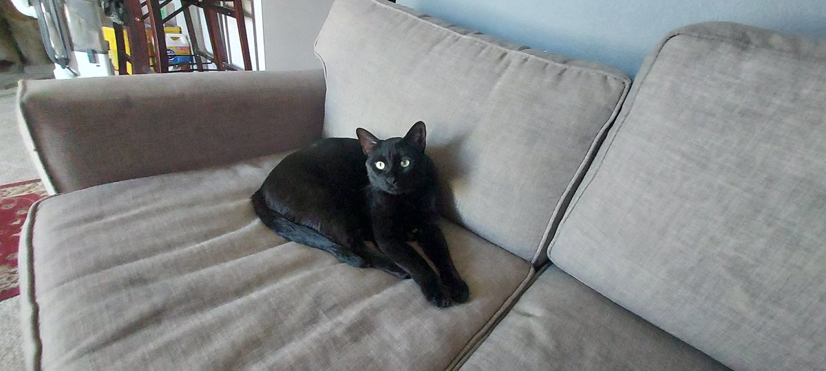 NawDig's tweet image. gofund.me/fdd5f629