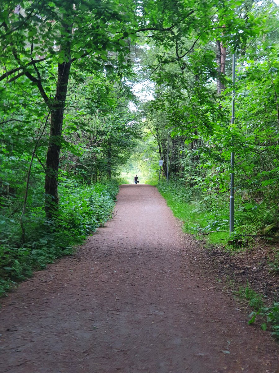 Trond Ingebretsen tweet media