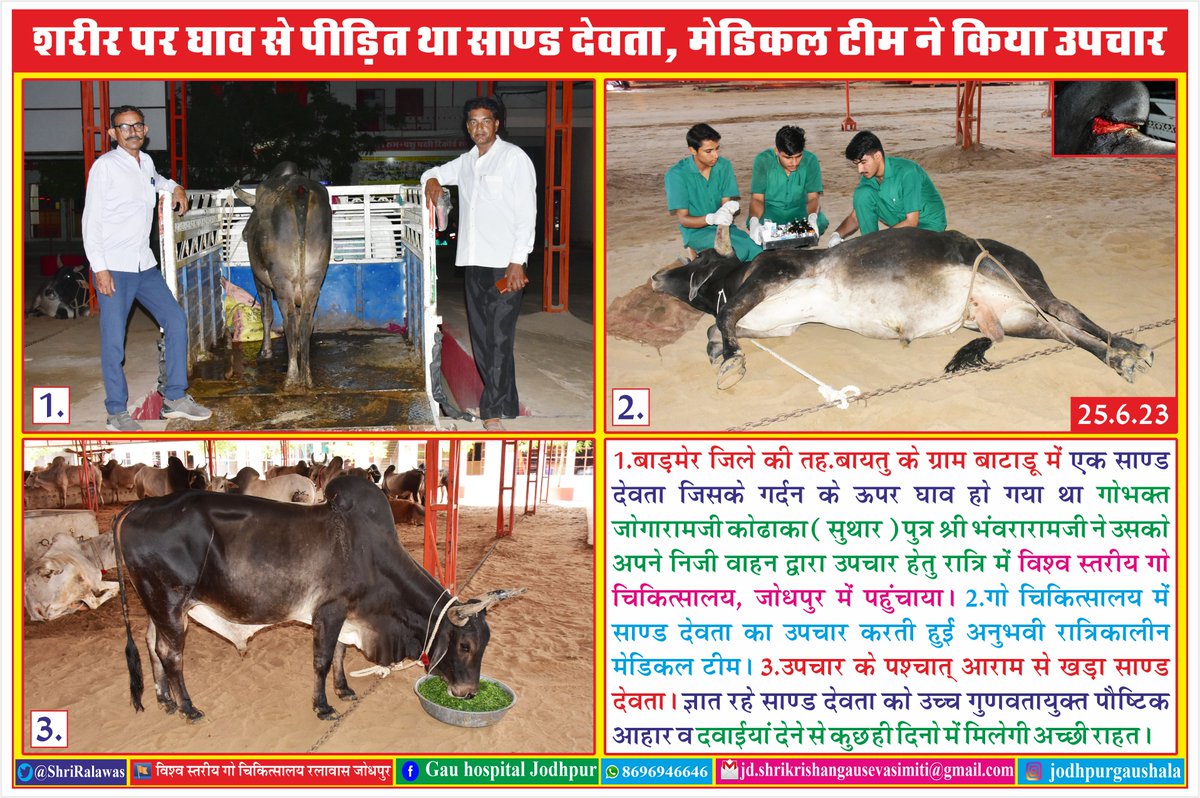 #hinduhardyasmarat #kushalgirijimaharaj #vishwastariyagauchikitsalaya #gochikitsalayajodhpur #vishvastariyagauchikitsalayajodhpur #cowhospital #medicalnews #shrikrishnagopalgauhospital #shrikrishnagausevasamiti #gausevamissiondonationforgausevac