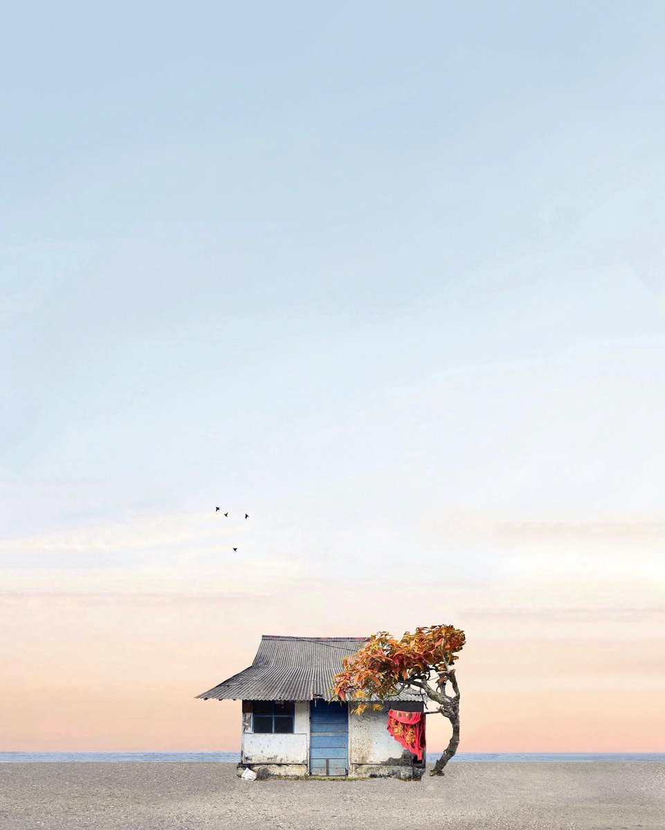 The house on the beach by Charlotte van Driel