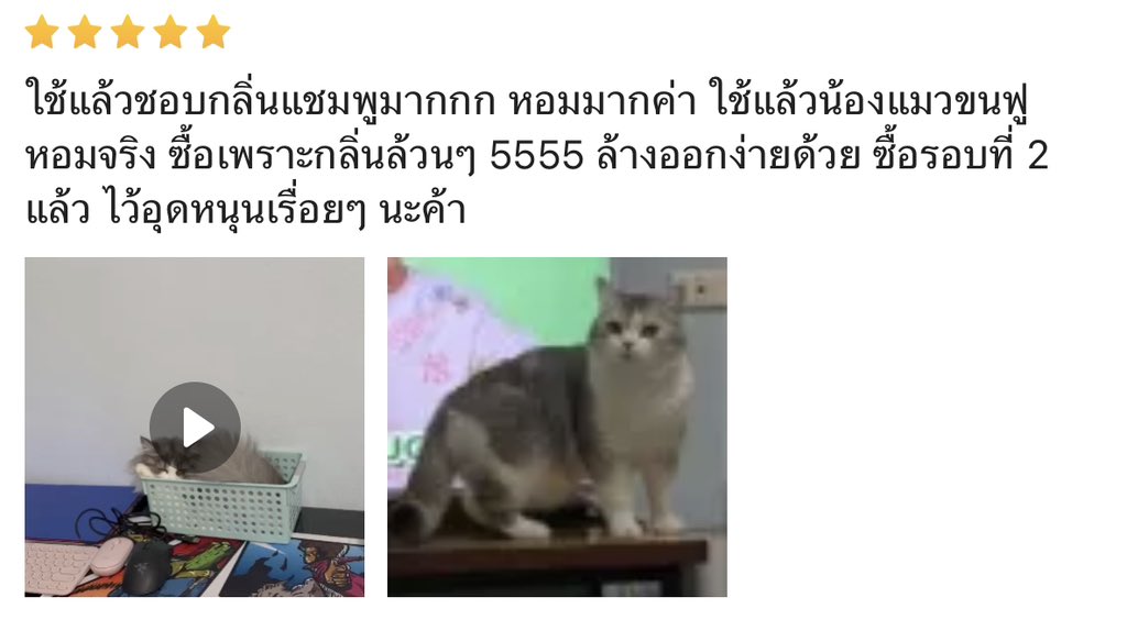 BABEYON อาบน้ำสัตว์เลี้ยง tweet media
