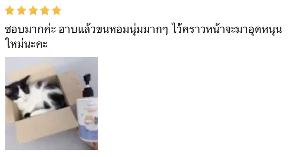 BABEYON อาบน้ำสัตว์เลี้ยง tweet media