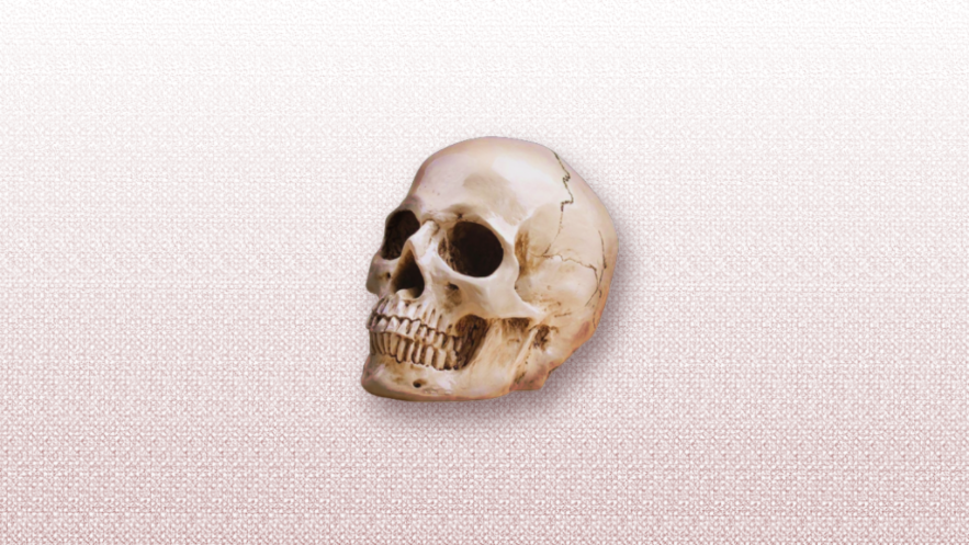 ͏ ͏ 𝕾𝙴𝙸𝚃𝙾͏͏ 𝓚𝙰𝙸𝙲𝙷𝙾𝚄 tweet media