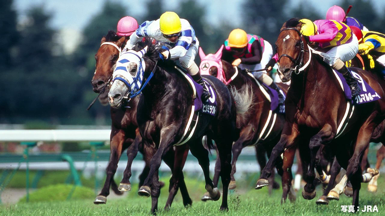 JRA FUN CLUB on X: 