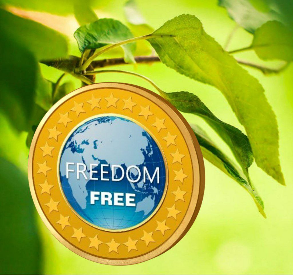 @jazminpinedo My best cypto Freedom_coin