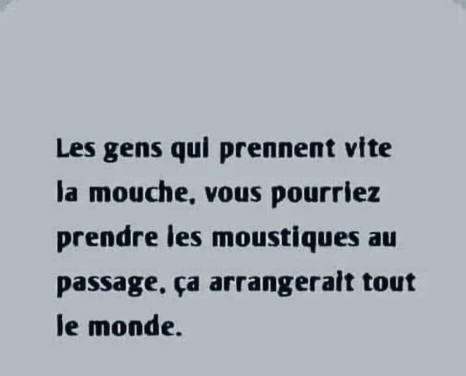 🛑 Réveil du dimanche [matin] 😁🎶👋

👉 quand tu passes la nuit à chasser l'intrus 🤣😎

#VanessaParadis Mosquito 🦟🎶🎶🎶

youtu.be/iVCoeD42n-I

#HumourToujours 😘