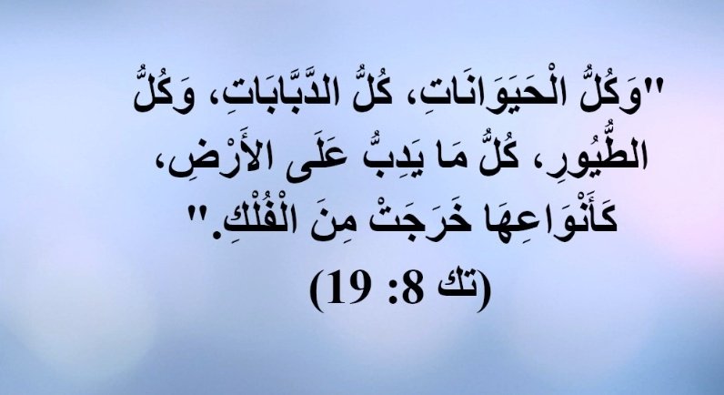spiritTWO2's tweet photo. @jass908 @Mnds127 @ilkhtab @MongizAlsaqqar @krymrft16 @ElAs48035 @doctorsaeed5 @xss4xss @ZuQj35yaVRNrDa3 @jasu3kofta @alshareeftariq2 @MaggieBermil @SonStada @OfBandera جاء الجهلة باللغة العربيه يصححو القرأن الي نزل على ناس كانو يأكلون اللغة العربيه اكل😂😂😂😂
عأساس لو قريش شافت خطأ كانت سكتت 😂😂😂😂😂
دبابات هههههههههه https://t.co/hwONRFhtV7