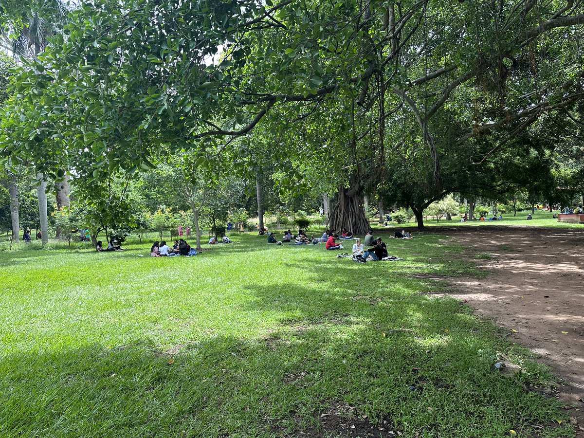 Something beautiful about this place .. want to keep coming back ..
Finding peace and solace ! 👌
P. S I’ve come prepared this time ! 
<a href="/lalbaghreads/">Lalbagh Reads</a>
