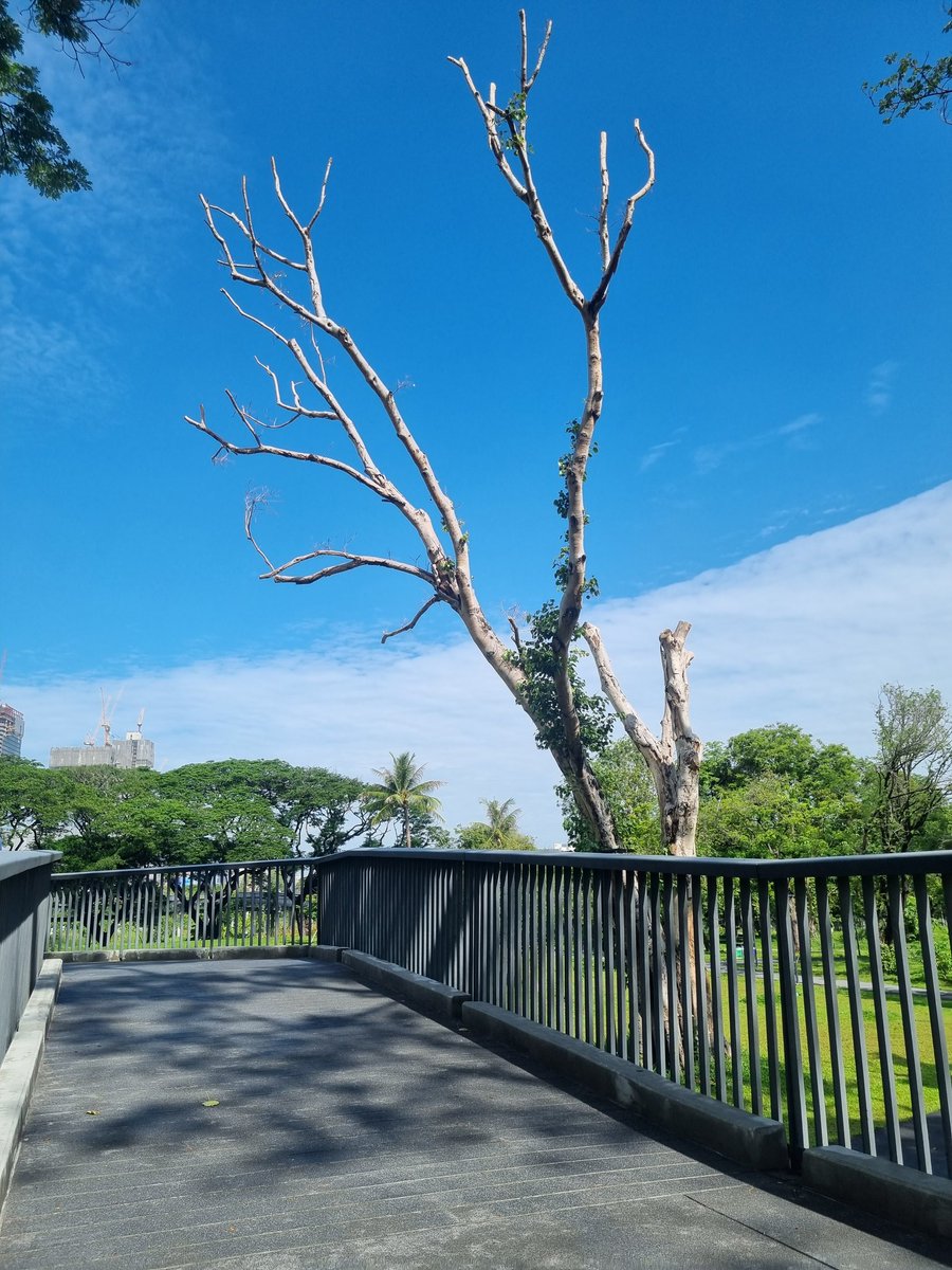 UD20211's tweet photo. 𝙏𝙧𝙪𝙨𝙩 𝙩𝙝𝙚 𝙩𝙞𝙢𝙞𝙣𝙜 𝙞𝙣 𝙮𝙤𝙪𝙧 𝙡𝙞𝙛𝙚.

จงเชื่อว่าชีวิตมีจังหวะ และ เวลา ที่เหมาะสม  

#แคปชั่น
#คําคมความรู้สึก #คำคมภาษาอังกฤษ
#พลังบวก

💭 https://t.co/Qbdcr7zSoA