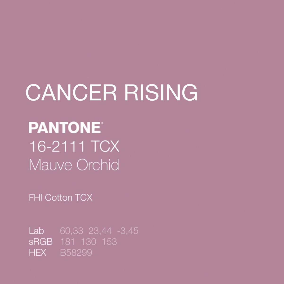 Vincent Alessi tweet media