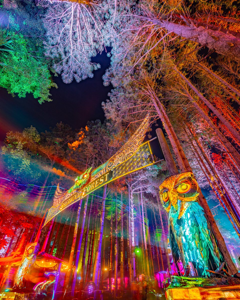 Electric Forest ⚡🌲 tweet media