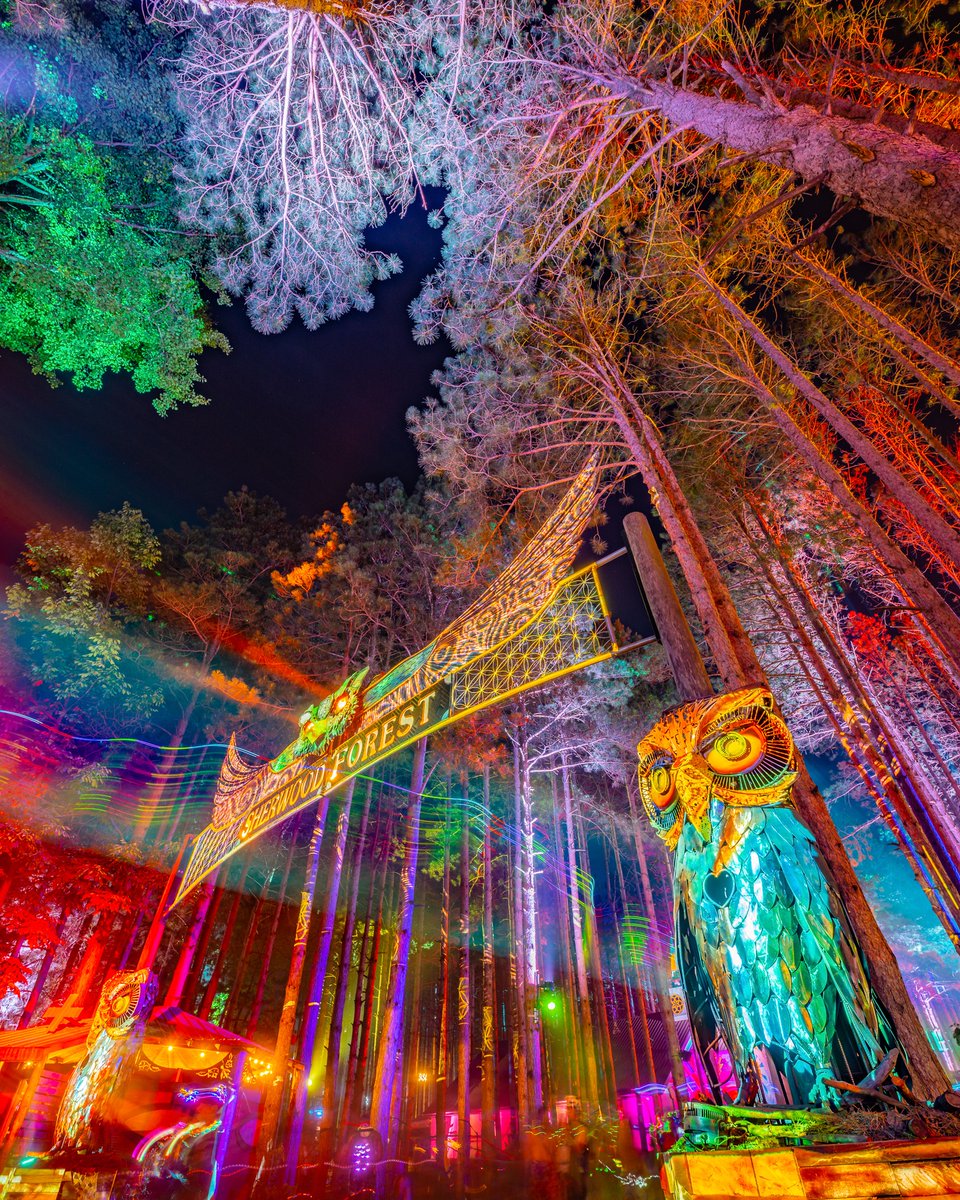 2024 Electric Forest