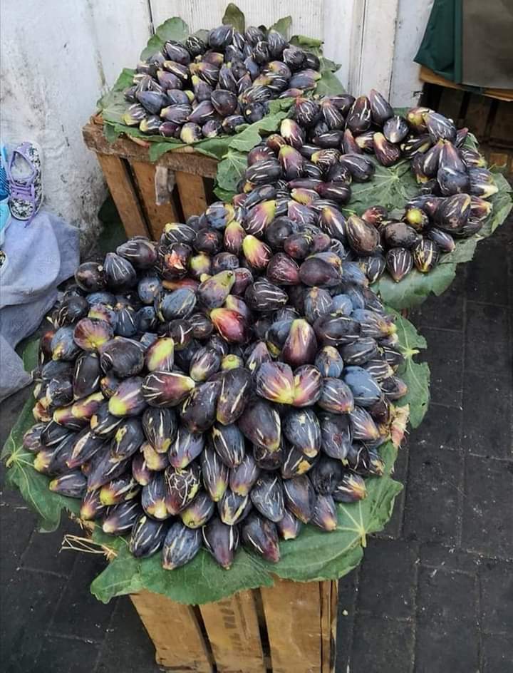 Mustapha69ma's tweet image. تبارك الله على خيرات المغرب 🇲🇦 🇲🇦 🇲🇦 🇲🇦 صباح الخير Les #figues #marocaines. 😍😍🇲🇦