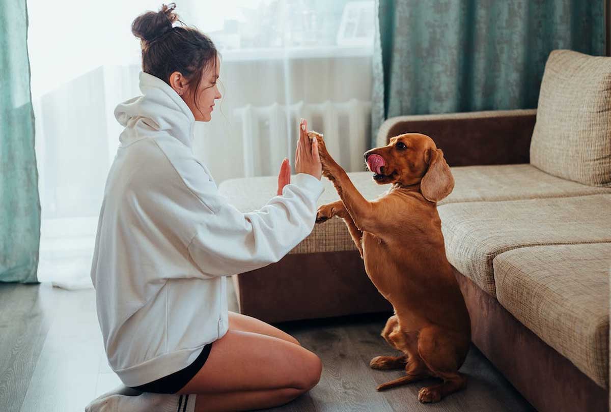 🐾❤️ Need a loyal friend? Look no further! Having a dog as a companion brings countless benefits to your life. 🌟🐶💕 Experience the joy and unwavering support that only a dog can offer. 🐾✨ #DogCompanion #Dogs #HappinessWithPaws #TheBestPetDogs
thebestpetdogs.blogspot.com/2023/06/benefi…