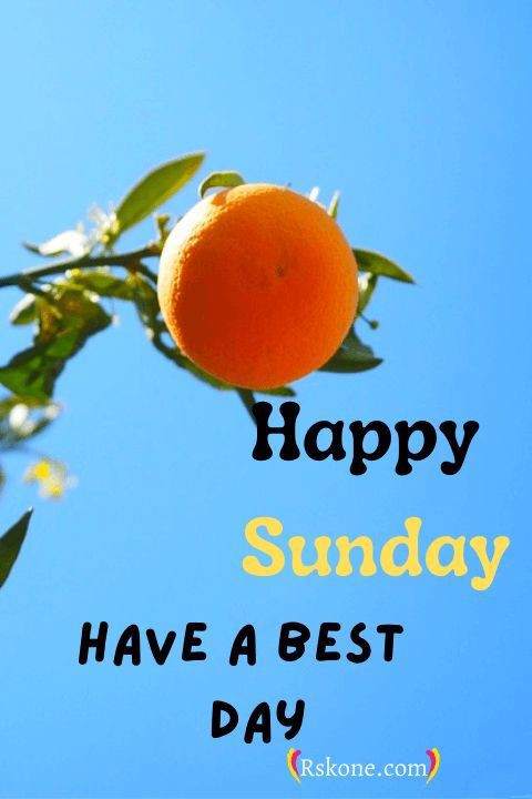 Happy Sunday to all of you Family, Friends, Workmates, classmates, acquaintances and neighbors.