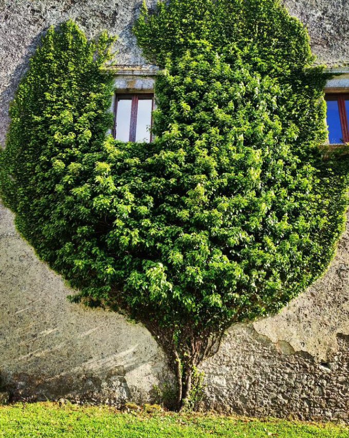 Fusion between architecture and nature 🌲

📷 anotherviewofworld 

#visitsicilyinfo #Contessaentellina