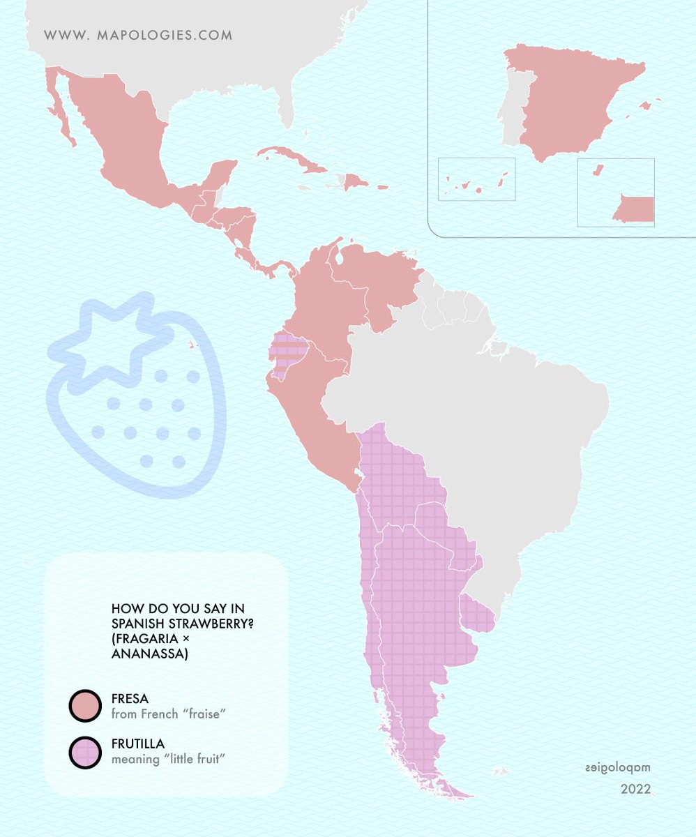 Mapologies_com's tweet photo. Strawberry in Spanish: fresa or frutilla
Which one do you like the most?

https://t.co/Wl0P8U5Ejw

#fresa #frutilla #fruit #straberry #map #mapologies #elatlas #vocabulary #etymology #español #southamerica #food #fruta #argentina #chile #french #diminutivo #language #linguistic https://t.co/GHKYEKh1tt