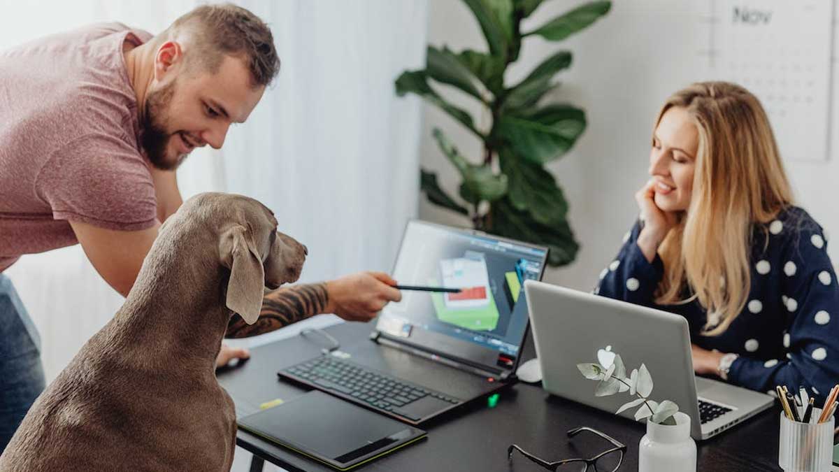 🐾🎓 Unlock your dog's potential with effective training techniques! From positive reinforcement to clicker training, there are various methods to shape their behavior. 🐶 🎉📚 #DogTrainingTips #PositiveReinforcement #HappyPup #TheBestPetDogs #DogsOfInsta
thebestpetdogs.blogspot.com/2023/06/effect…