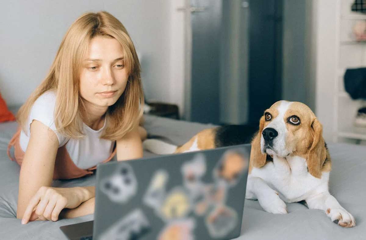 🐾📱🐶 Step into the future with dog-friendly tech! From smart pet trackers to interactive cameras, embrace technology that enhances the lives of our furry friends. 🌟🐾 #DogFriendlyTech #HappyPups #TheBestPetDogs #DogsOfInsta
thebestpetdogs.blogspot.com/2023/06/embrac…