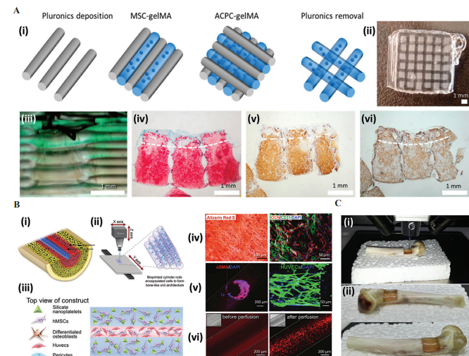 IJB_ASP's tweet photo. 📌#RecommendedPaper Bioinks for #3D #Bioprinting: A #Scientometric Analysis of Two Decades of Progress
By: Sara Cristina Pedroza-González,et al.
Free Access:👇
https://t.co/AwmonTNEFs https://t.co/S42chXGMon