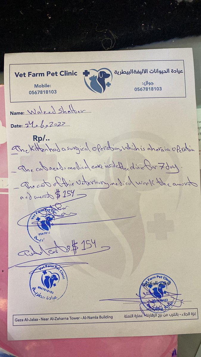 LoverHomeless's tweet photo. 🐱UPDATE ♥️FOR 🐱 Sawsan♥️who was cruelly🥲beaten! Thank you from my heart to all those who donated. He is recovering well at the vet surgery! The bill has to be paid shortly and we are short of $124!🐱🙏🏻Please help❤️Sawsan🧸so we can pay the vet!‼️https://t.co/DKN3awZQNN🆘️🚨🐾 https://t.co/OplrFQ9SQC