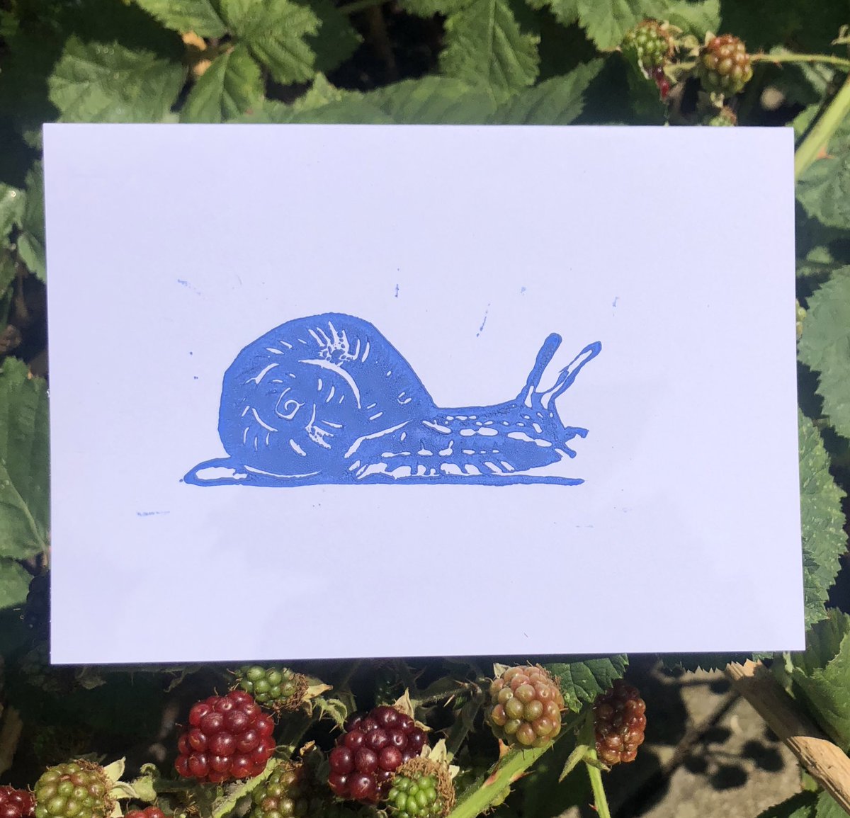 This snail says don’t be a slow coach & get your answer in before we reveal the answer & explanation later today!#RespEd #RespIsBest #PR #linoprint