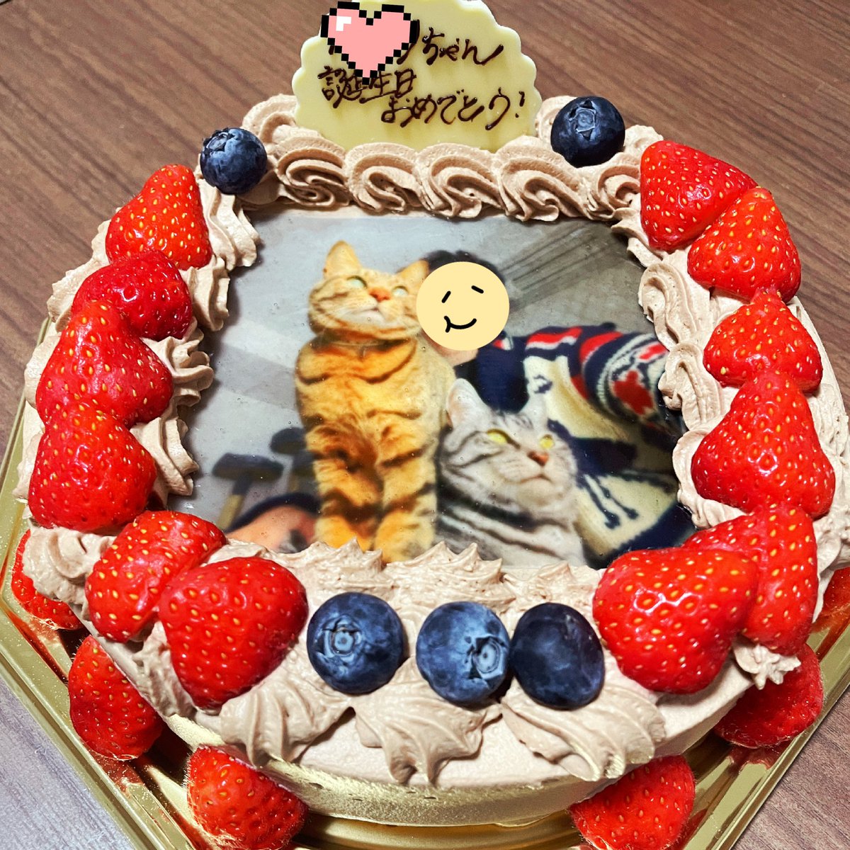 izarikawa's tweet photo. はぴばママ。今年のケーキのこと何にも聞かされてなかったんだけど、まさかの息子たち+めがねの「明日へ」だった。かわいい。今年もありがとうね。
#キジトラ #サバトラ #猫 #SweetsLab https://t.co/mZjaMZ1BEs