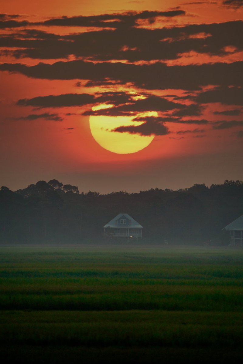 Good Morning Sunshine

Have a SuPeR SunDaY FunDaY!

#SundayFunday #SundayMorning