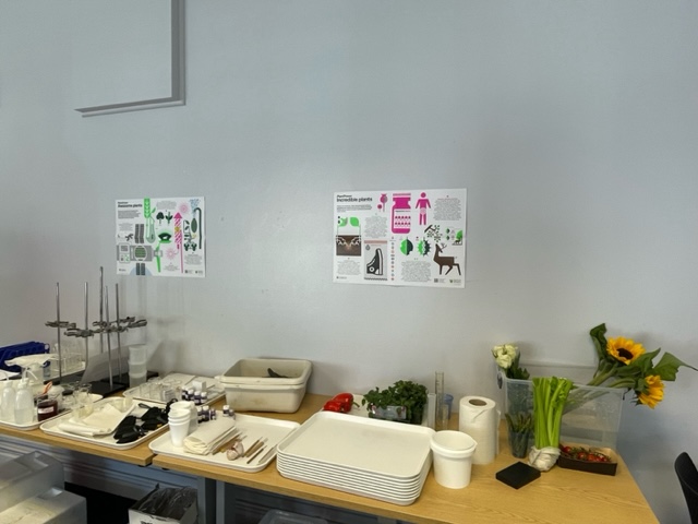 SAPS_News's tweet photo. We are looking forward to welcoming A-level biology teachers from across the UK to the Plant Science Summer School commencing today 💚🔬🌱
Can you guess the practicals they'll be working on over the next couple of days?
#plantsci #PlantScience #SummerSchool #GPSSS23 https://t.co/U7lwPZZ3VU