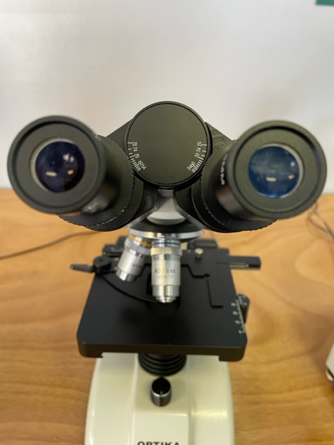 SAPS_News's tweet photo. We are looking forward to welcoming A-level biology teachers from across the UK to the Plant Science Summer School commencing today 💚🔬🌱
Can you guess the practicals they'll be working on over the next couple of days?
#plantsci #PlantScience #SummerSchool #GPSSS23 https://t.co/U7lwPZZ3VU