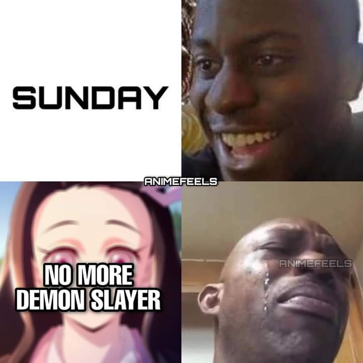 SaaraAdem's tweet photo. a sunday without demon slayer 💔 https://t.co/frGD9qqny5