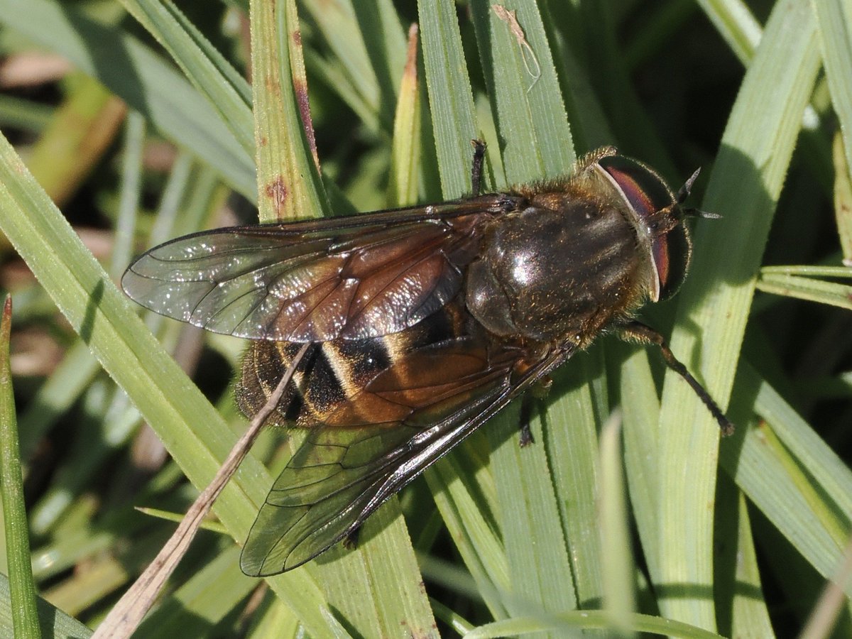 lostboyy35 tweet media