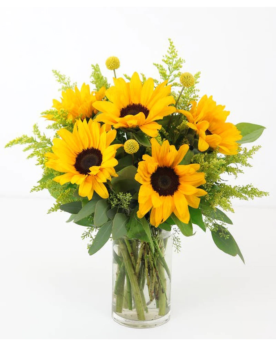 Nothing says Summer quite like a stunning bouquet of Sunflowers! 🌻🌞🌻

#sunflowers #summerflowers #pennysbyplaza #florist #flowerdesign #sendflowers #sendhappiness #philly #favoritelocalflorist #flowerdelivery