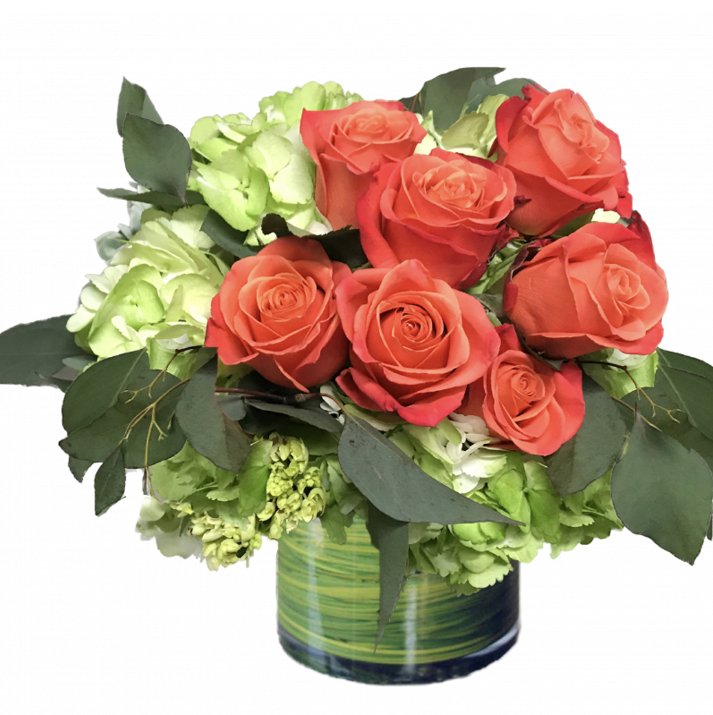 Send smiles & sunshine to someone special with this gorgeous arrangement called Pasadena Orange Panache. It features stunning orange Ecuadorian #roses blended with green full-bloom #hydrangea.

#summerflowers #mahersflorist #floralbeauty #florist #pasadenaflorist #flowerdelivery