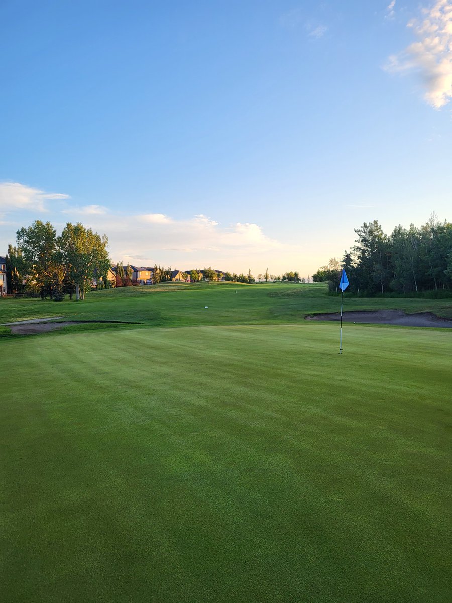 Dale Ekman tweet media