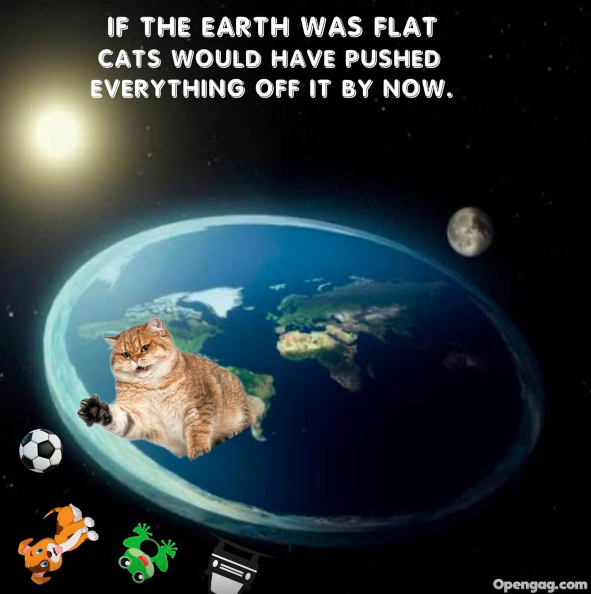 catecoin's tweet photo. #catecoin  #cate https://t.co/1nFdLgIfYf