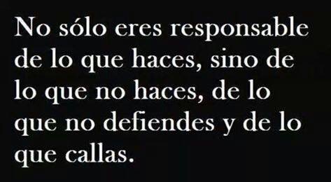 Redes Antiespecistas tweet media